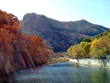 新澳天天开奖资料大全旅游团，死尸图片